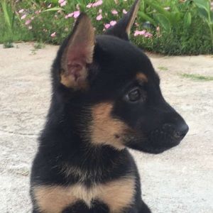 Meet your Posher, Jonny